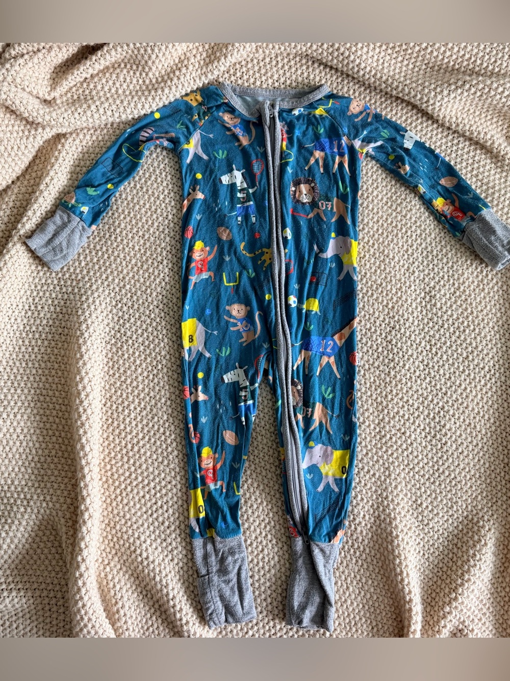 Little Sleepies 6–12 Months Bamboo Zippy Pajamas – EUC